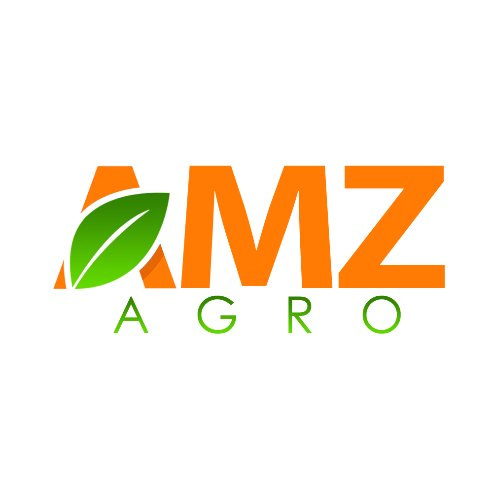 SITE EM CONSTRUÇÃO